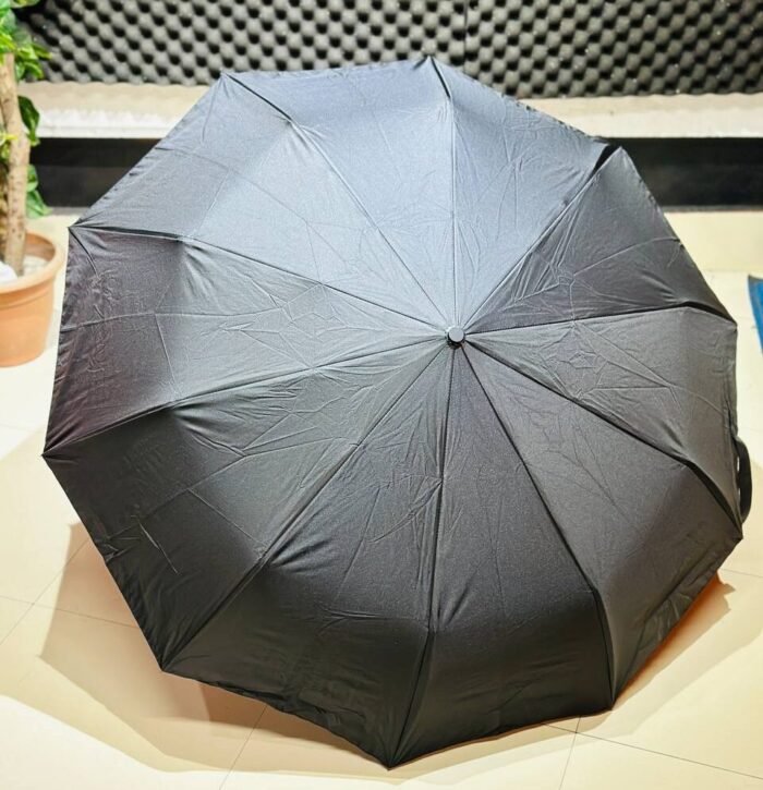 Premium 10-Ribs Automatic Folding Umbrella