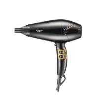 VGR V-423 Professional Salon Series Hair Dryer
