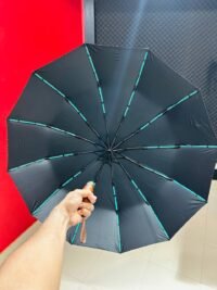 Premium 12-Ribs Automatic Open/Close Wood Handle Umbrella - Image 2
