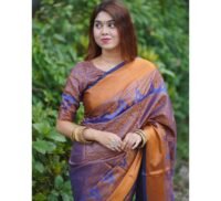 Kanjivaram katan Sharee