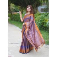 Kanjivaram katan Sharee - Image 5