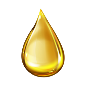 Hair Oil Price in Bangladesh | Buy Natural Hair Oil – ShoppingGhor